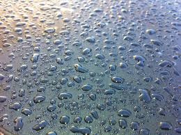 Paint Protection Water Beading